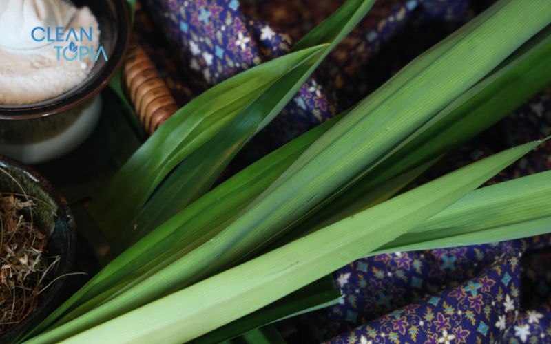 Khử mùi bằng lá dứa/than