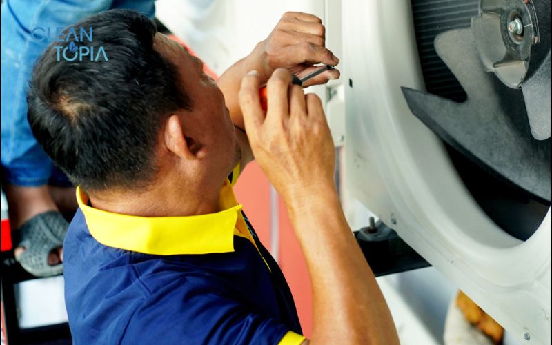 Khử mùi bằng lá dứa/than