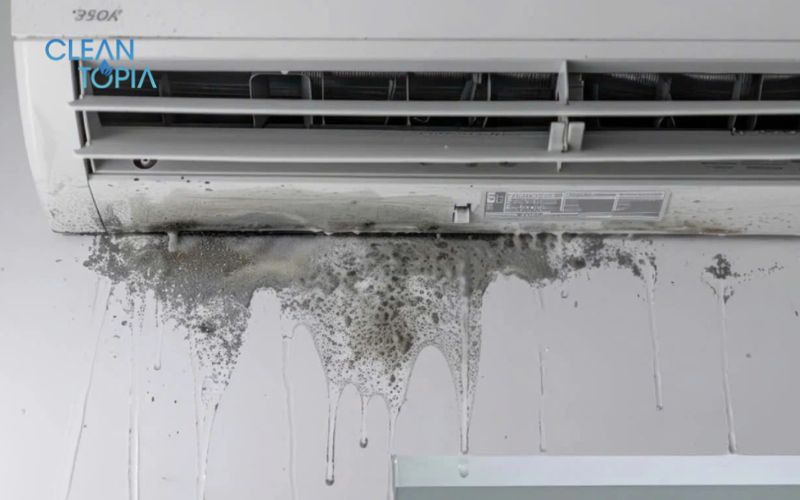 Tự rửa khay nước ngưng